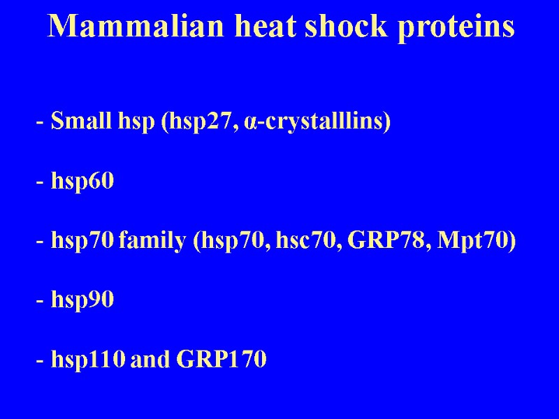 Mammalian heat shock proteins - Small hsp (hsp27, α-crystalllins)  - hsp60  -